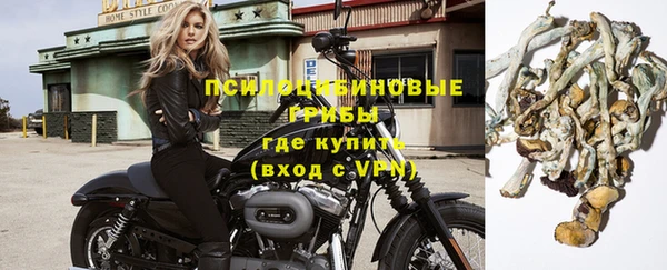 спиды Алексеевка