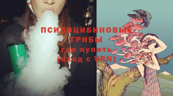 спиды Алексеевка