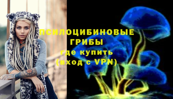 спиды Алексеевка